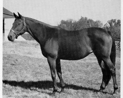 broodmare Baby League xx (Thoroughbred, 1935, from Bubbling Over xx)