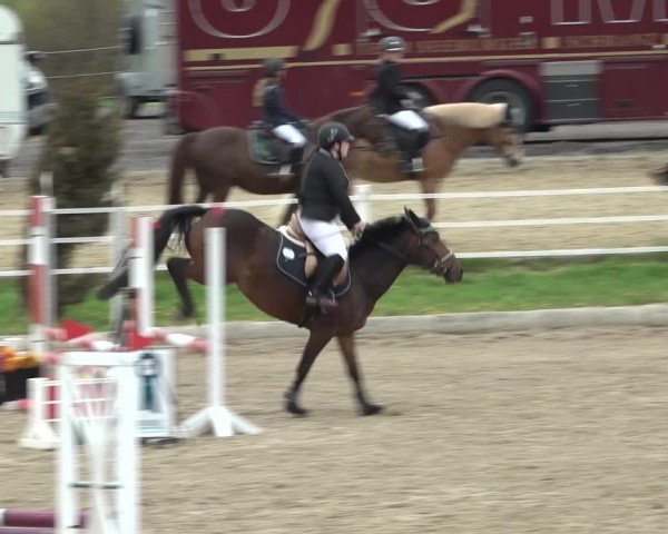 Reitturnier Ried am Riederberg 2022