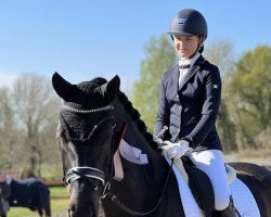 dressage horse Flaneur 229 (Oldenburg, 2015, from Franziskus FRH)