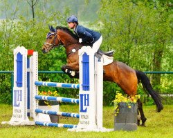 stallion Kenntucky 2 (German Riding Pony, 2005, from Kaiser Konrad)