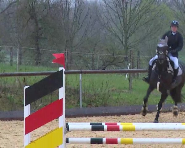 Reitturnier Altentrüdingen/Mfr. 2022