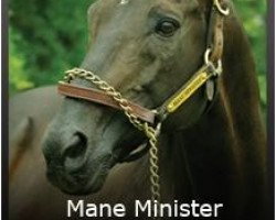 stallion Mane Minister xx (Thoroughbred, 1988, from Deputy Minister xx)