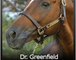 stallion Dr. Greenfield xx (Thoroughbred, 1998, from Dr. Devious xx)