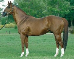 stallion Lake's Explorer xx (Thoroughbred, 2000, from Salt Lake xx)