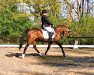 dressage horse Mahira 2 (German Riding Pony, 2008, from Mariano)