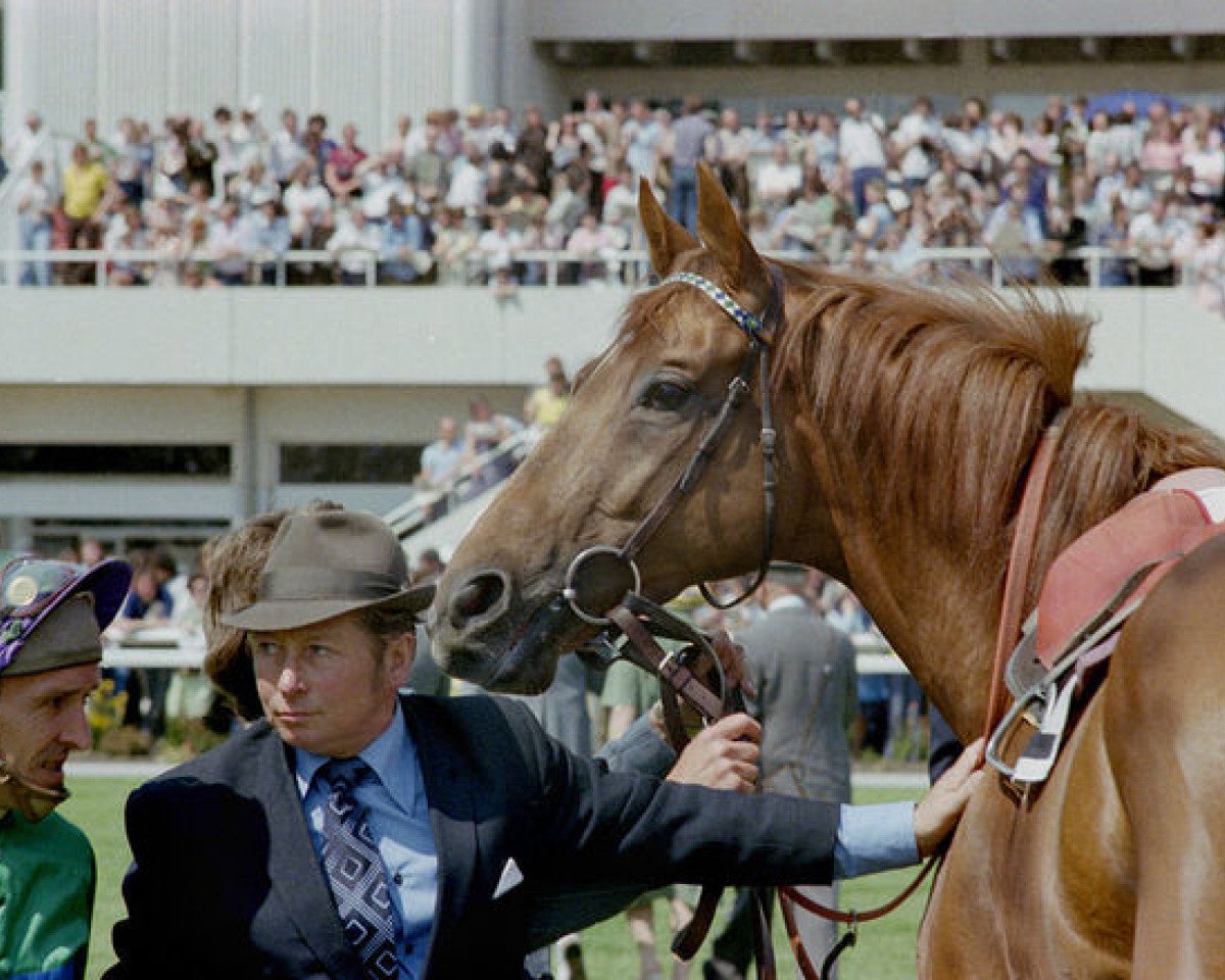 stallion Gunner B xx (Thoroughbred, 1973, from Royal Gunner xx)