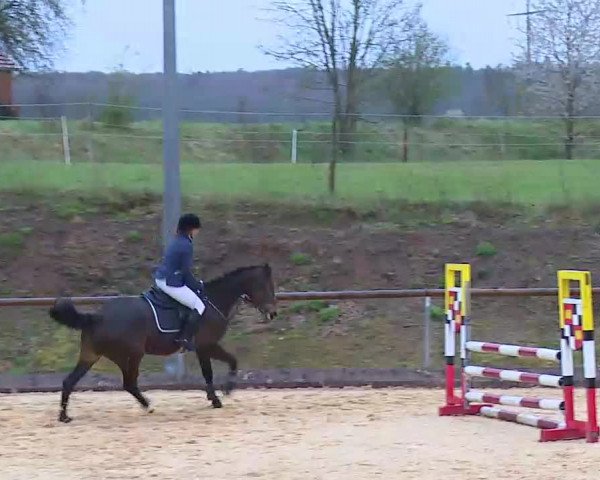 Reitturnier Altentrüdingen/Mfr. 2022