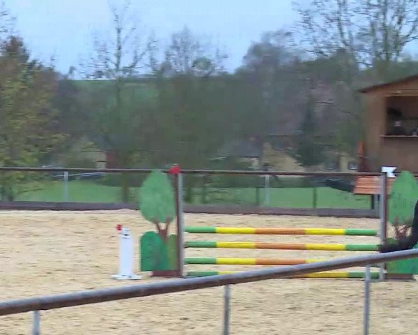 Reitturnier Altentrüdingen/Mfr. 2022
