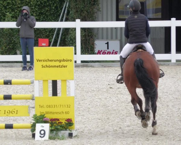Springturnier Memmingen 2022