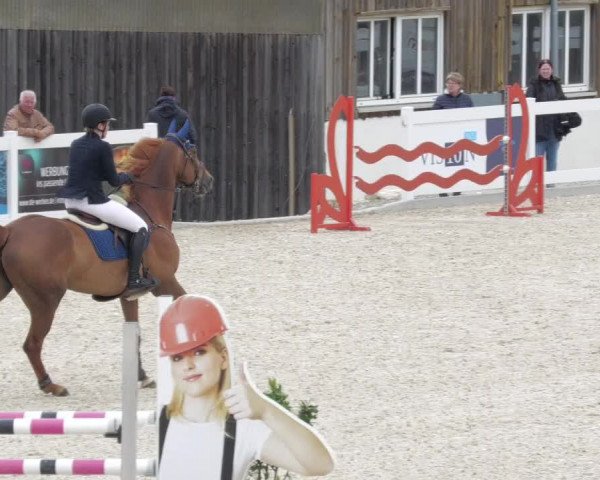 Springturnier Memmingen 2022