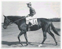 broodmare Twilight Tear xx (Thoroughbred, 1941, from Bull Lea xx)