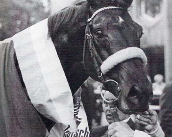 stallion Basalt xx (Thoroughbred, 1966, from Neckar xx)