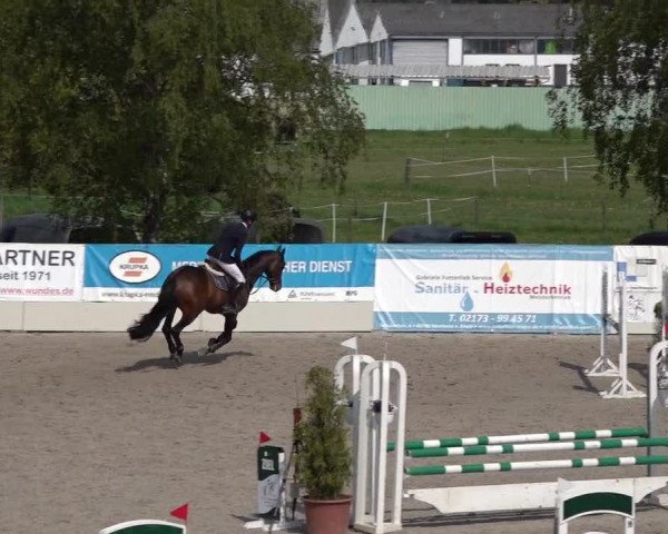 Reitturnier Monheim - Gut Blee 2022