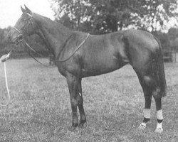 broodmare Eclair xx (Thoroughbred, 1930, from Ethnarch xx)