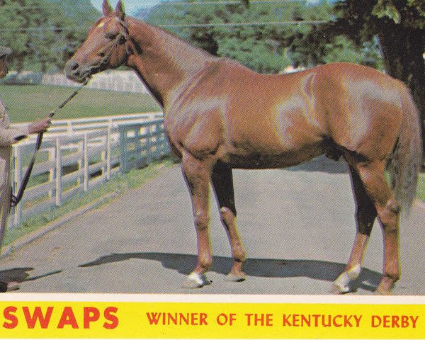 stallion Swaps xx (Thoroughbred, 1952, from Khaled xx)