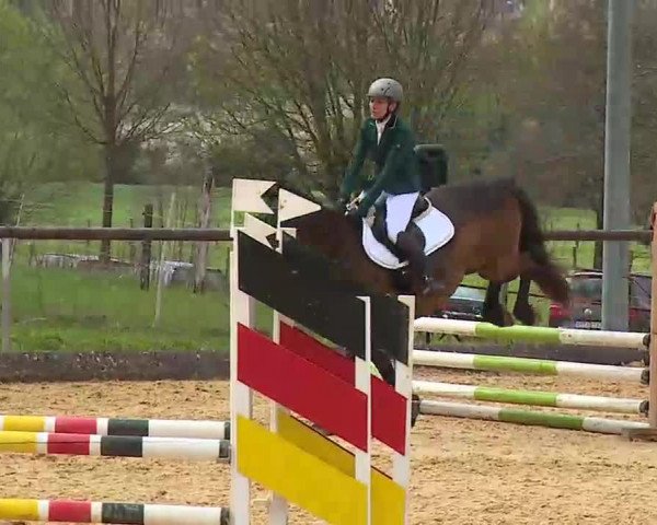 Reitturnier Altentrüdingen/Mfr. 2022
