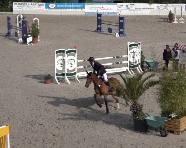 Reitturnier Monheim - Gut Blee 2022