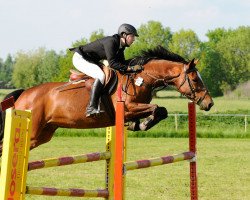 Springpferd Vally Knally (Holsteiner, 2005, von Calato)