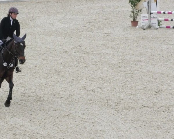 Springturnier Memmingen 2022
