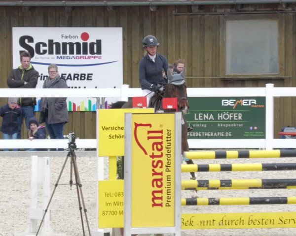 Springturnier Memmingen 2022