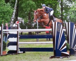 jumper Ancouver (KWPN (Royal Dutch Sporthorse), 2005, from Isard du Rietz)