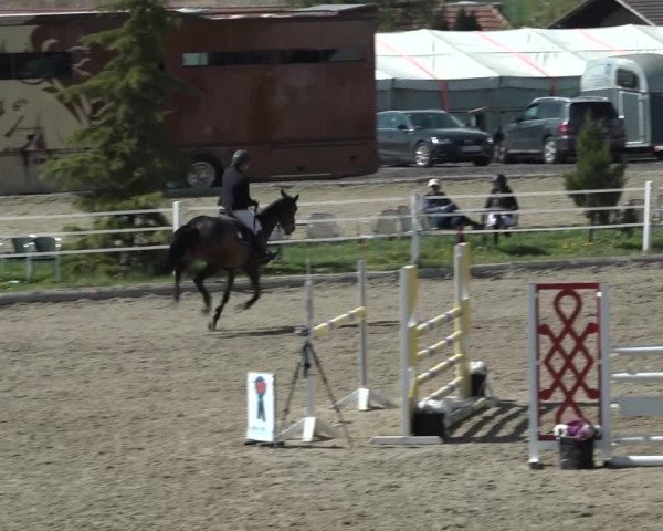 Reitturnier Ried am Riederberg 2022