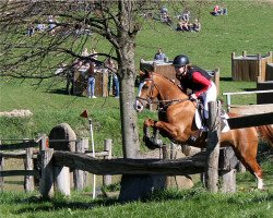 Springpferd So Long 2 (Deutsches Reitpony, 2010, von Sir Martino)