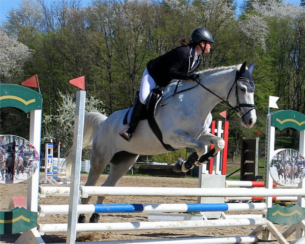 Springpferd Silver Jeannie (Irish Sport Horse, 2010)