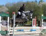 dressage horse Gwenlyn 3 (German Riding Pony, 2014, from Couscous)