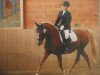 broodmare Miss Marple (German Riding Pony, 1995, from Playback)