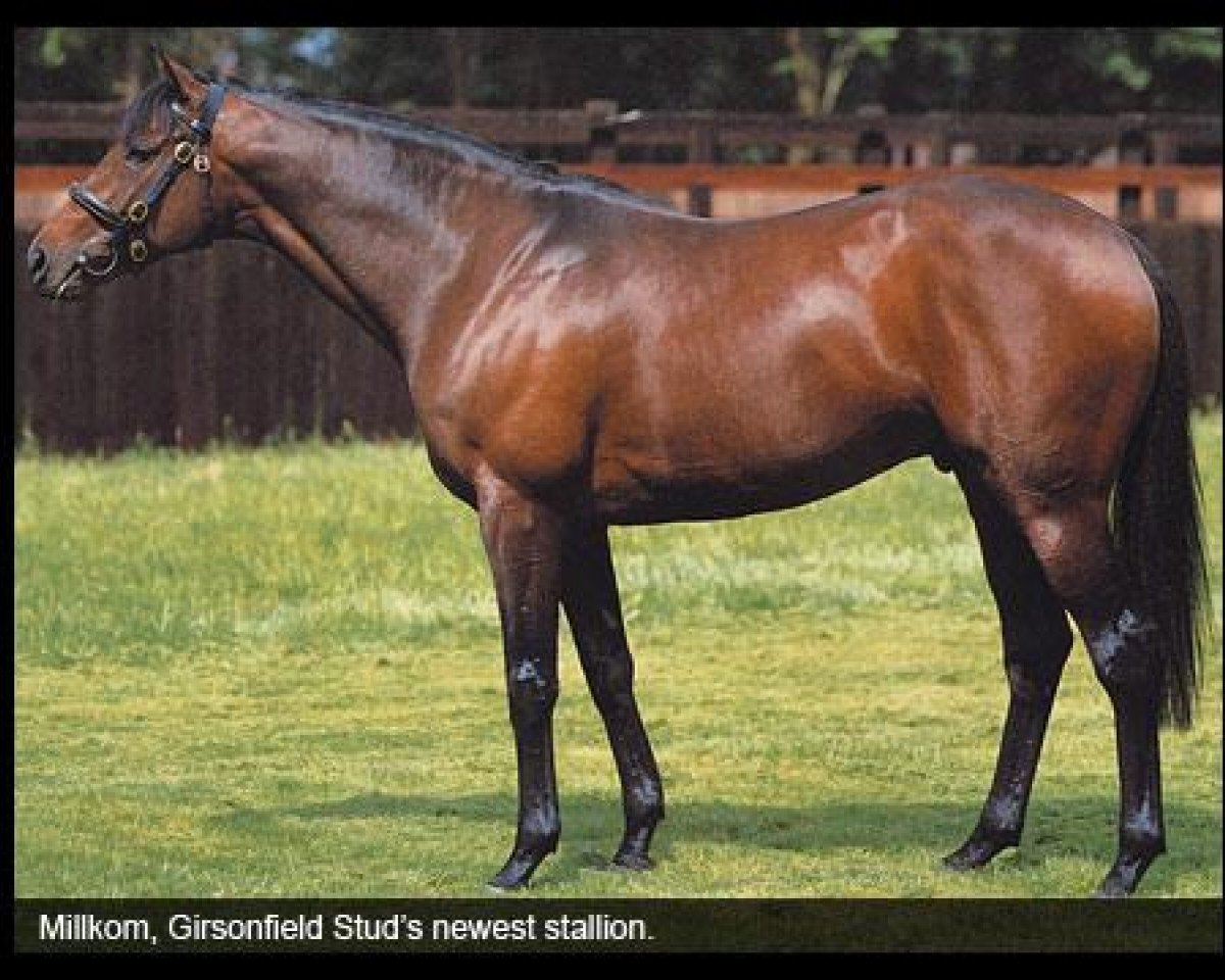 stallion Millkom xx (Thoroughbred, 1991, from Cyrano de Bergerac xx)