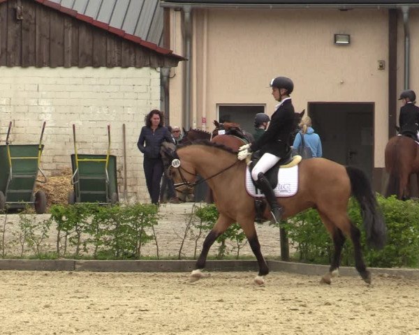 Pony- und Juniorenturnier Olfen-Vinnum 2022