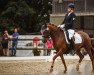 Dressurpferd Die feine Lady W (Deutsches Reitpony, 2011, von Der feine Lord AT)