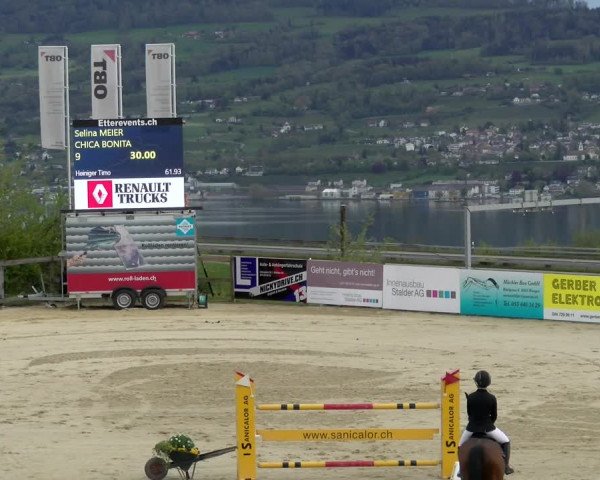 Reitturnier Wädenswil 2022
