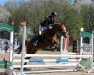 dressage horse Dilara 24 (German Riding Pony, 2012, from Dimension AT NRW)