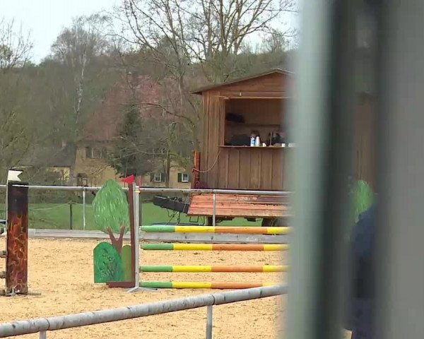 Reitturnier Altentrüdingen/Mfr. 2022