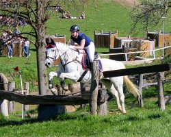 Springpferd Silbergirl 3 (Deutsches Reitpferd, 2004, von Silber Bird)