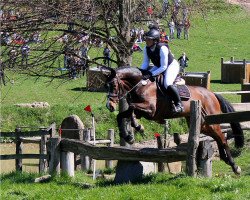 broodmare Stella 1028 (Hanoverian, 2010, from Stalypso)