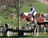 jumper Barnagore Buttercup (Irish horse, 2015, from Unbekannt IR)