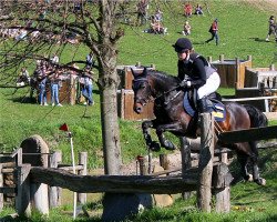 stallion Sm Coco Champ (German Riding Pony, 2017, from FS Coconut Dream)