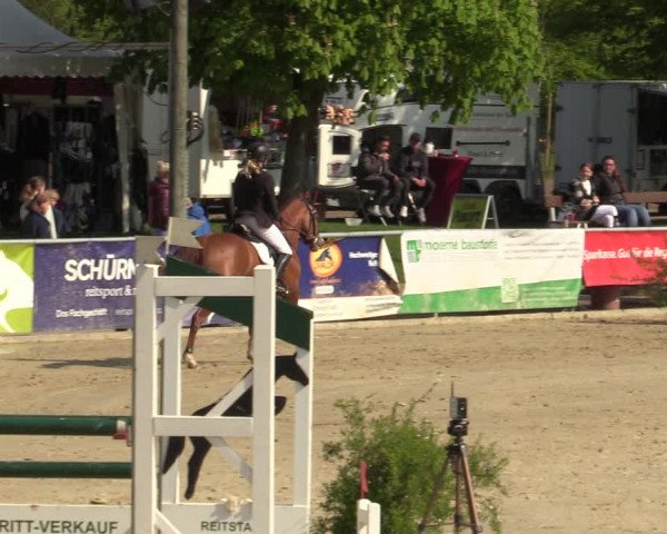 Pony- und Juniorenturnier Olfen-Vinnum 2022