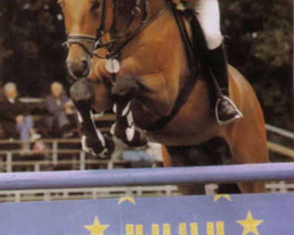 stallion Action (Hanoverian, 1989, from Atatuerk)