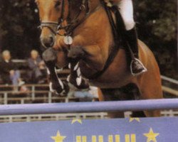 stallion Action (Hanoverian, 1989, from Atatuerk)