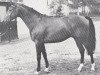 stallion Baccarat (Anglo-Norman, 1974, from Flying Flag xx)