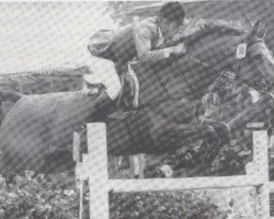 broodmare Fatinitza Z (Westphalian, 1969, from Ramiro Z)