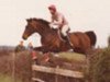 stallion Roland (Trakehner, 1970, from Kastor)