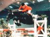 stallion Wodan (Hanoverian, 1978, from Winnetou)