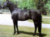 stallion Rose Laurel xx (Thoroughbred, 1970, from Klairon xx)