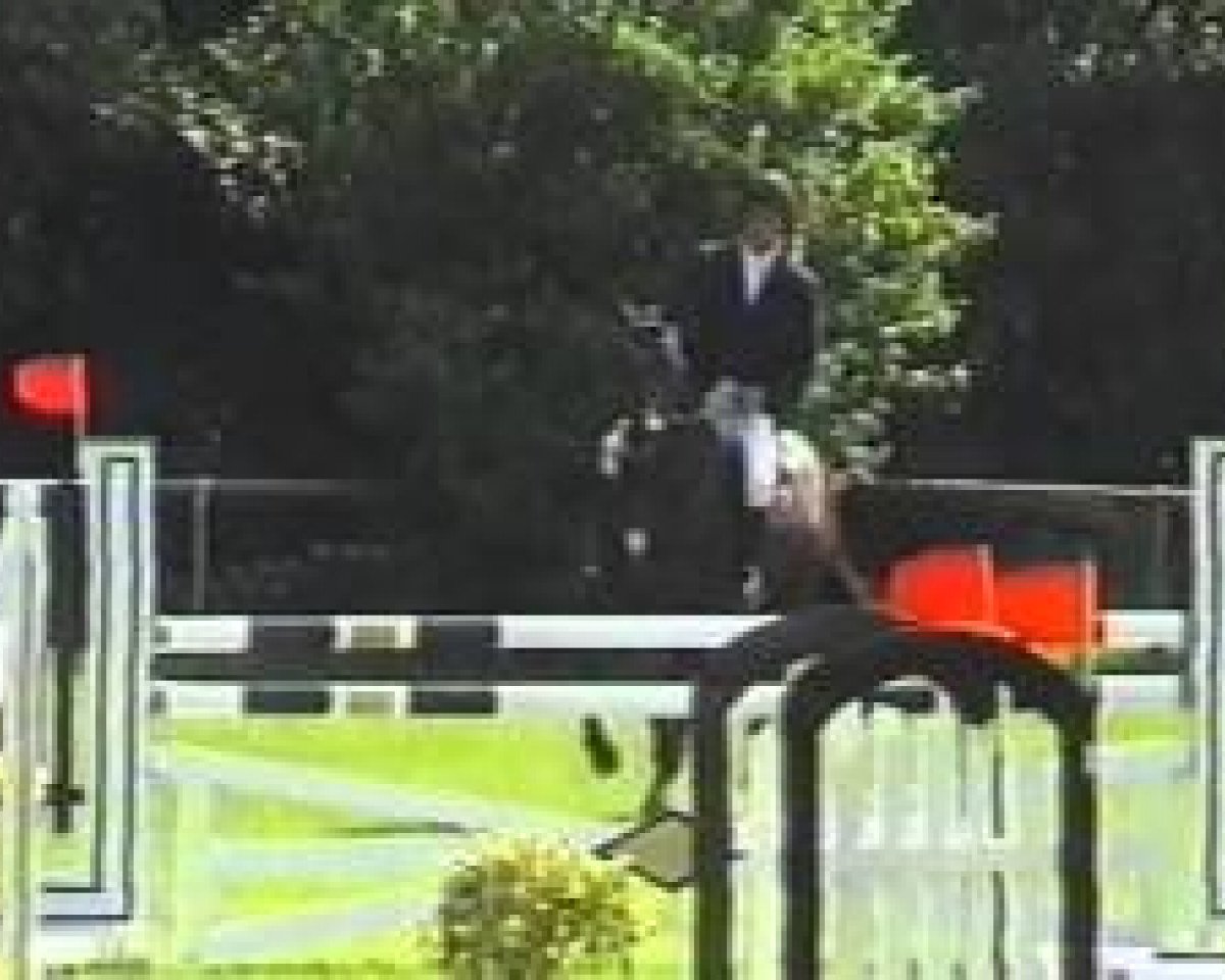 stallion Centesimo I (Württemberger, 1996, from Cento)