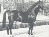 stallion Durchlaucht (Westphalian, 1961, from Duellant)